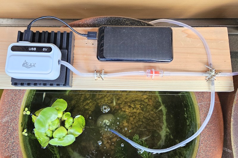 メダカ水槽にブクブクを付けてみた